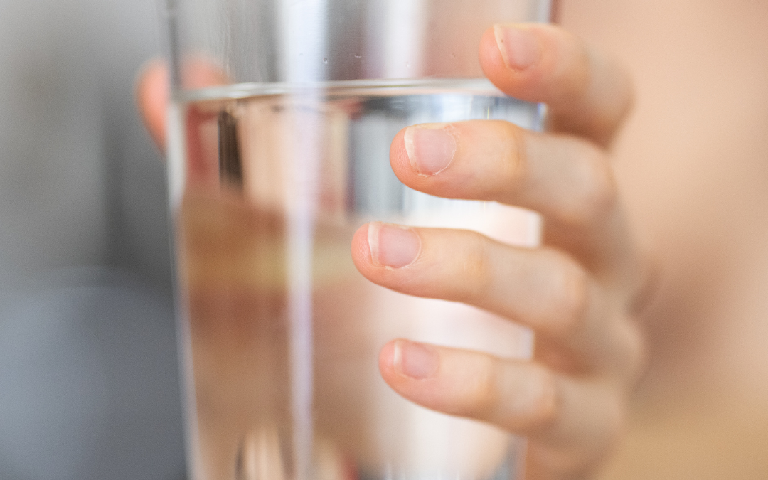 Drinking Water Safety and Mistrust in Mobile Home Parks